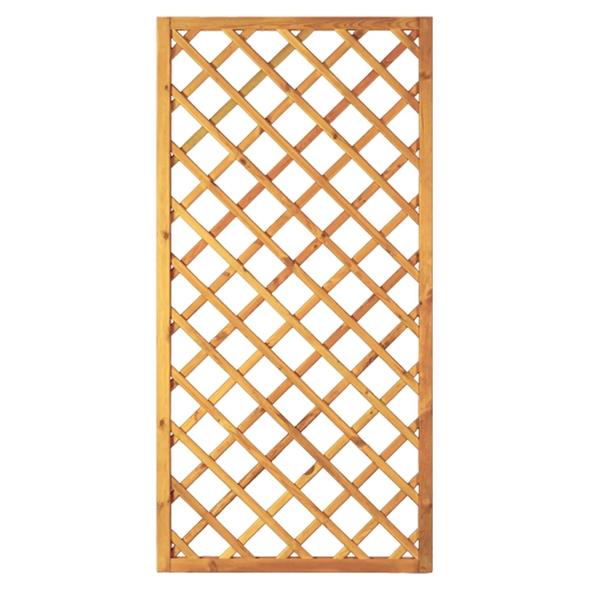 Diagonal-Rankzaun 90 x 180 cm