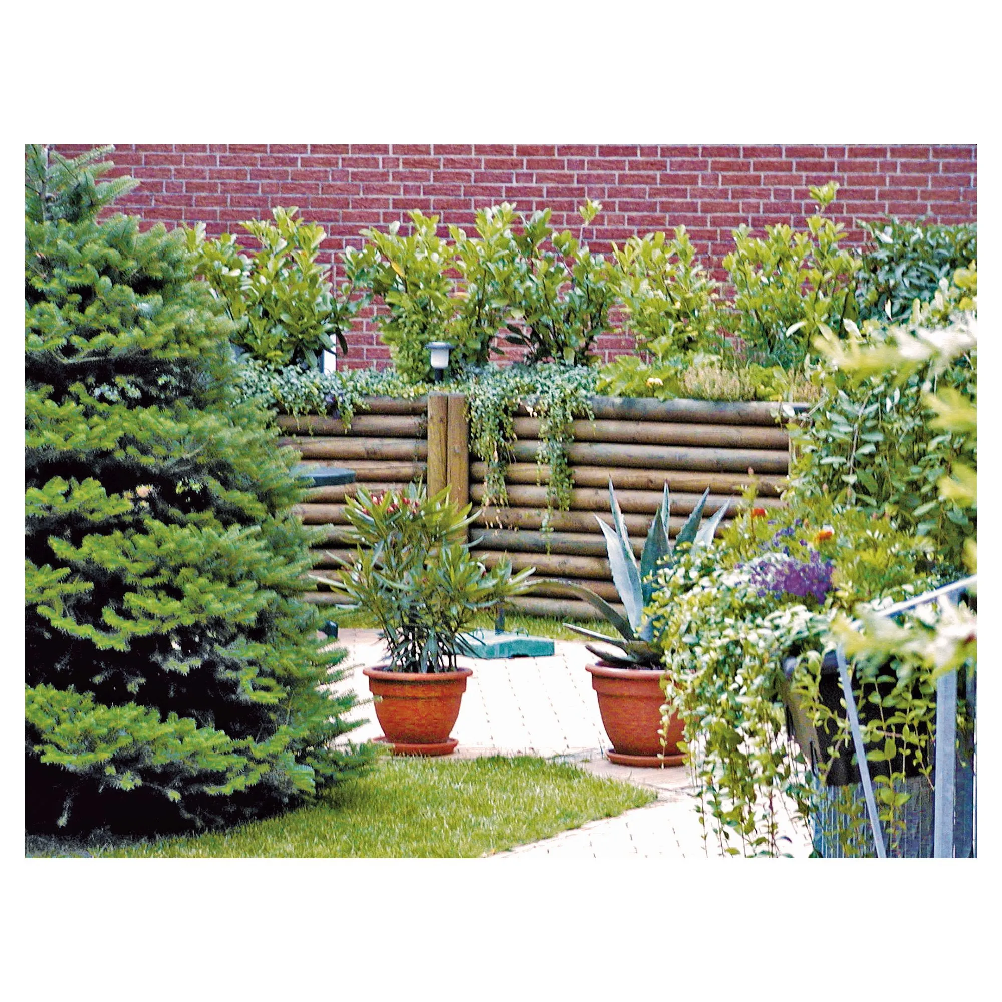 Palisade  10 x 200 cm