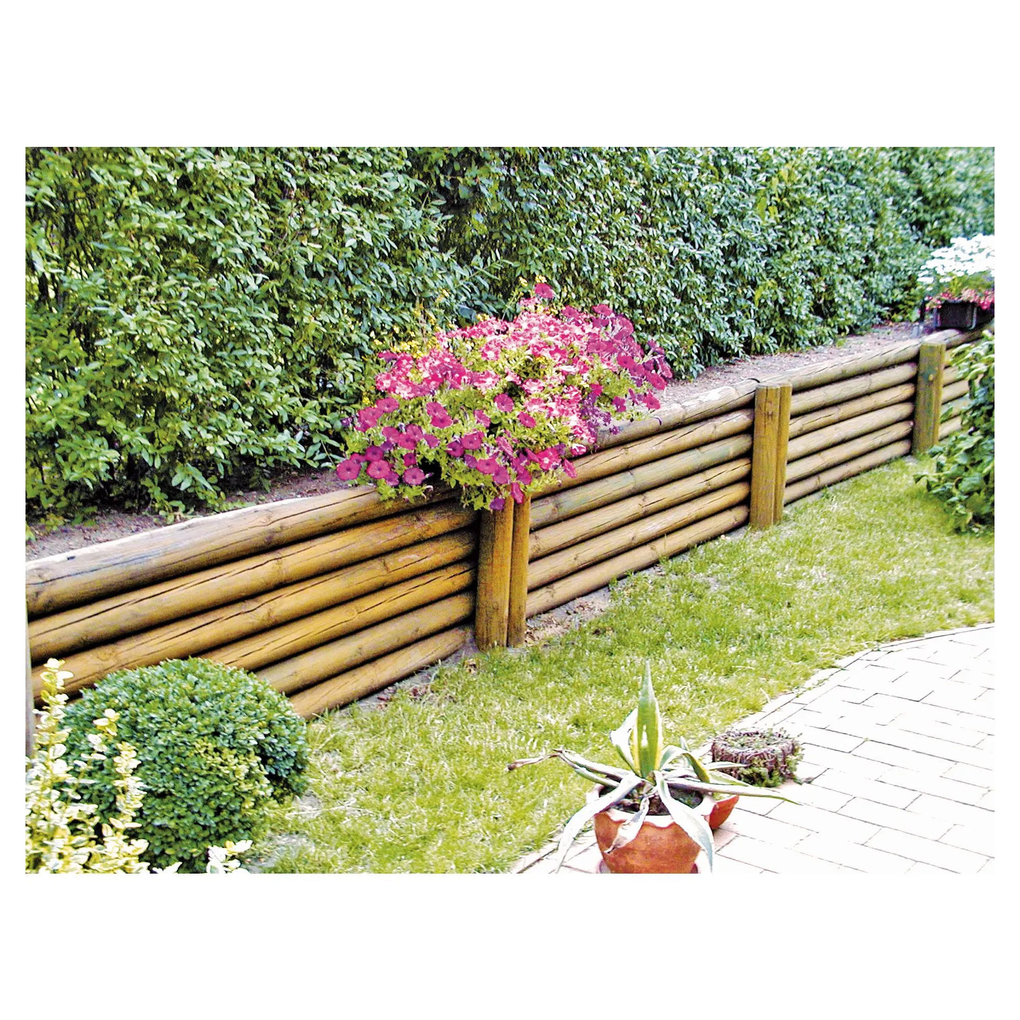 Palisade  12 x 50 cm