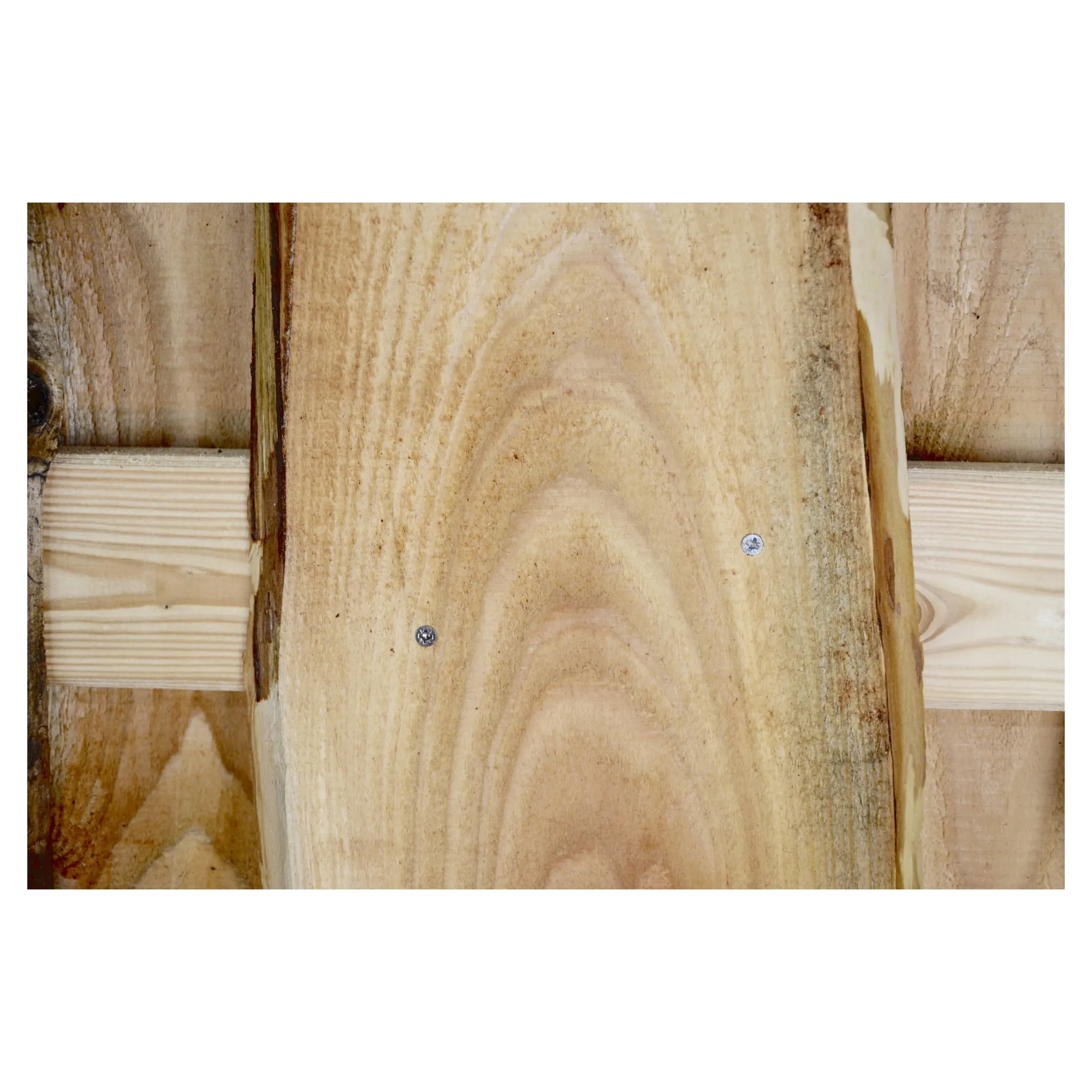 J&Uuml;TLAND-Serie L&auml;rche, 180 x 150 cm