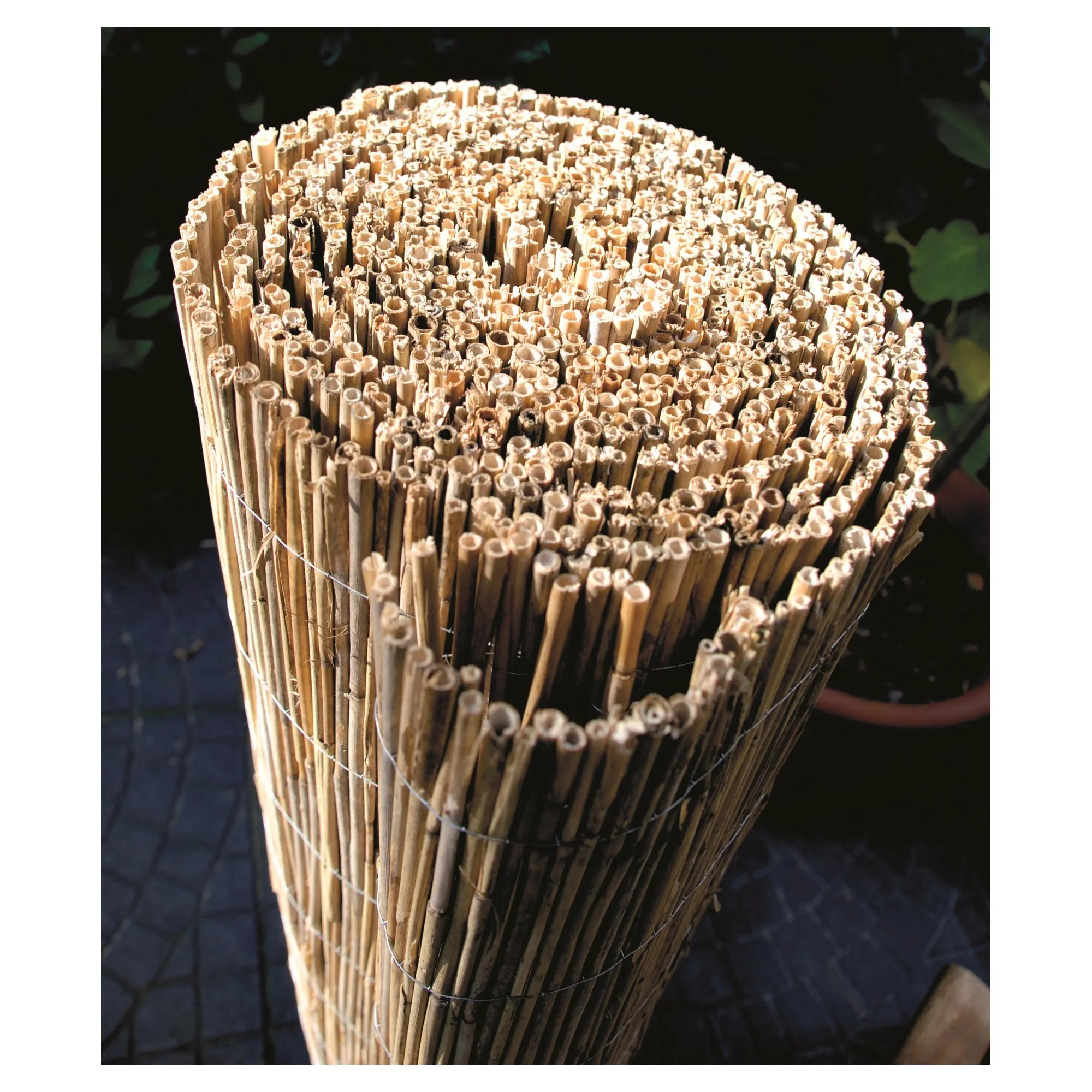 SYLT Schilfrohrmatte